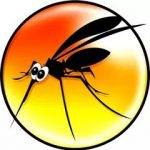 شركة مكافحة حشرات بالظهران